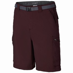 Columbia Silver Ridge™ Cargo Short Herr Röda (ONGCR0397)